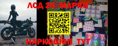 spice Новодвинск