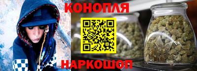 spice Новодвинск