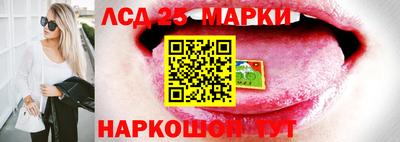spice Новодвинск