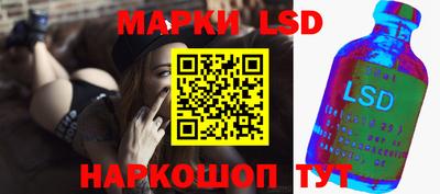 spice Новодвинск