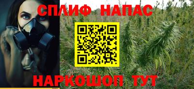 spice Новодвинск