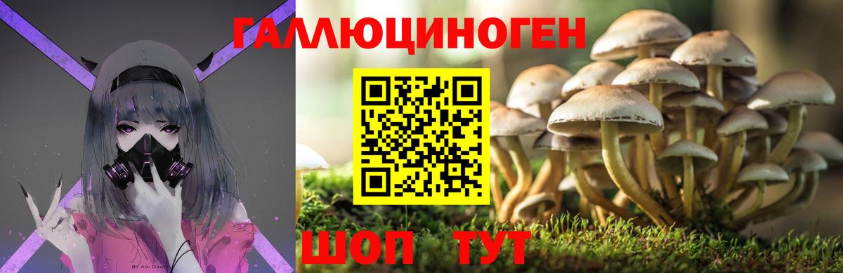 цены   Вход с VPN  Ревда  Галлюциногенные грибы мухоморы 